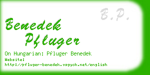 benedek pfluger business card